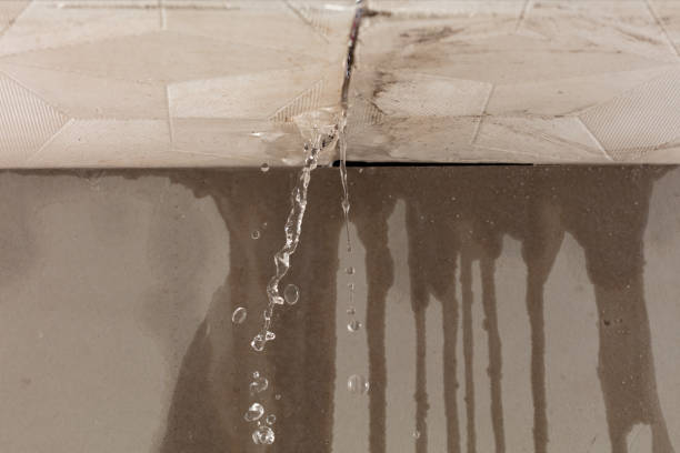 Professional Sewage Cleanup technician working in Divide, CO